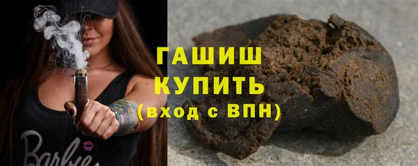 гашик Алексин