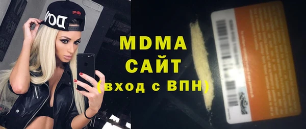 гашик Алексин