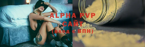 гашик Алексин