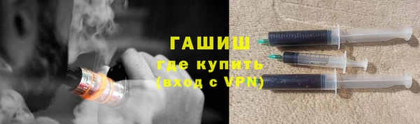 гашик Алексин