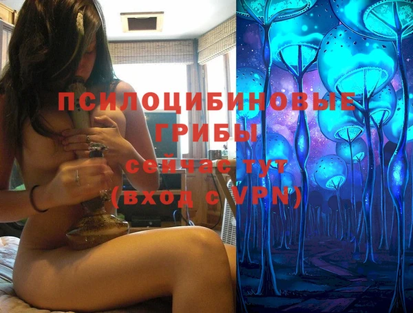apvp Абинск