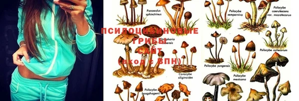 каннабис Алзамай