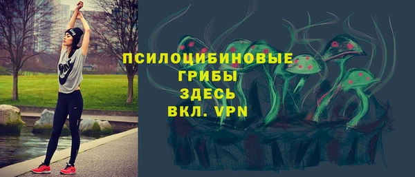 apvp Абинск